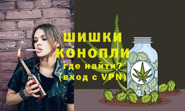 твердый Нягань