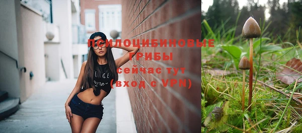 тгк Нязепетровск